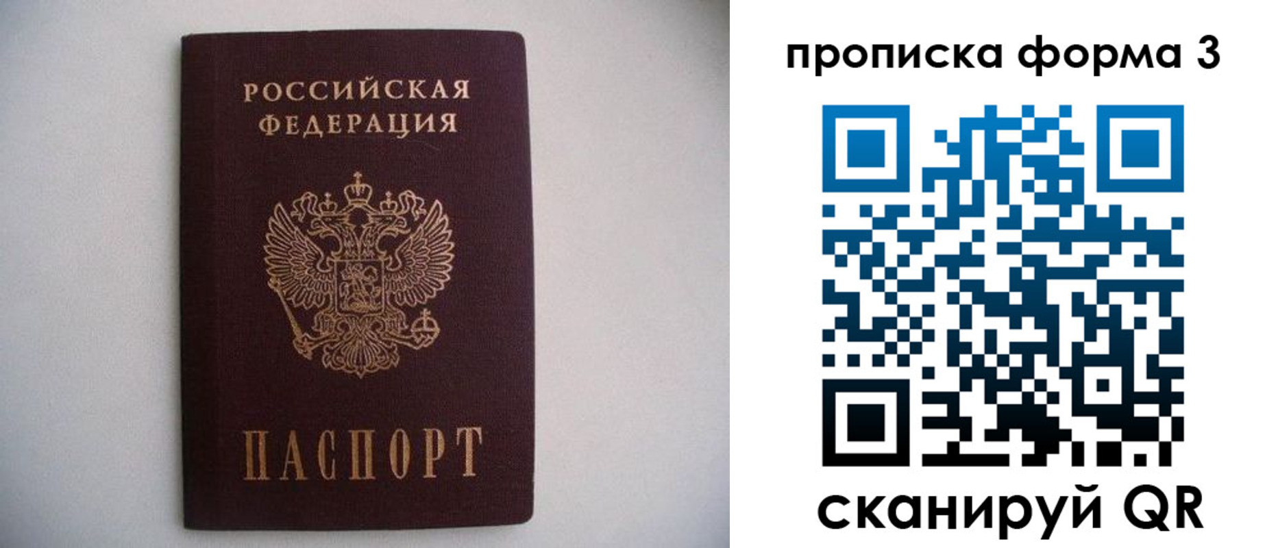 прописка в Фрязино